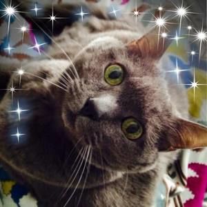 Meet your Posher, Karen